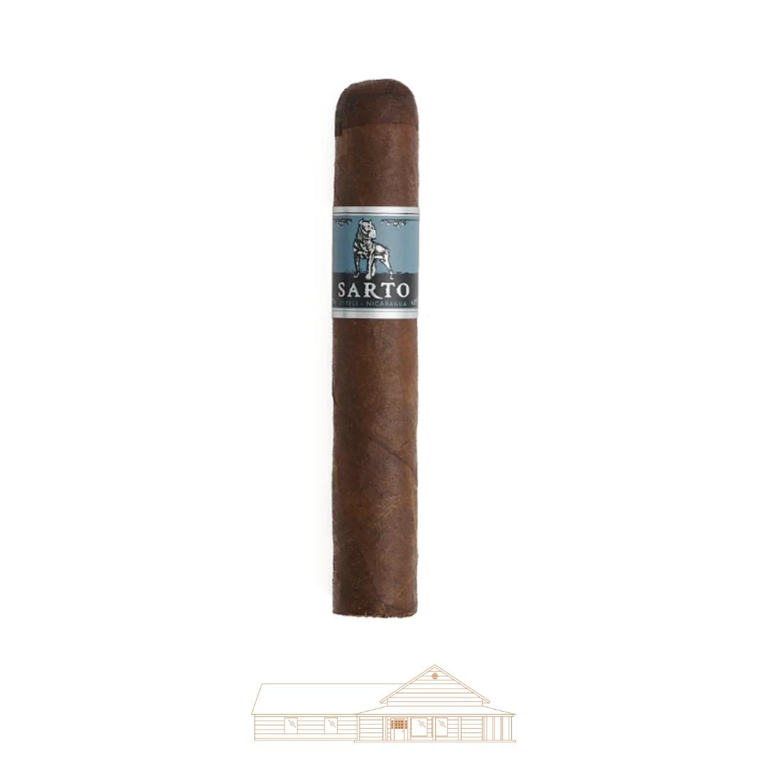 Warped Sarto Robusto