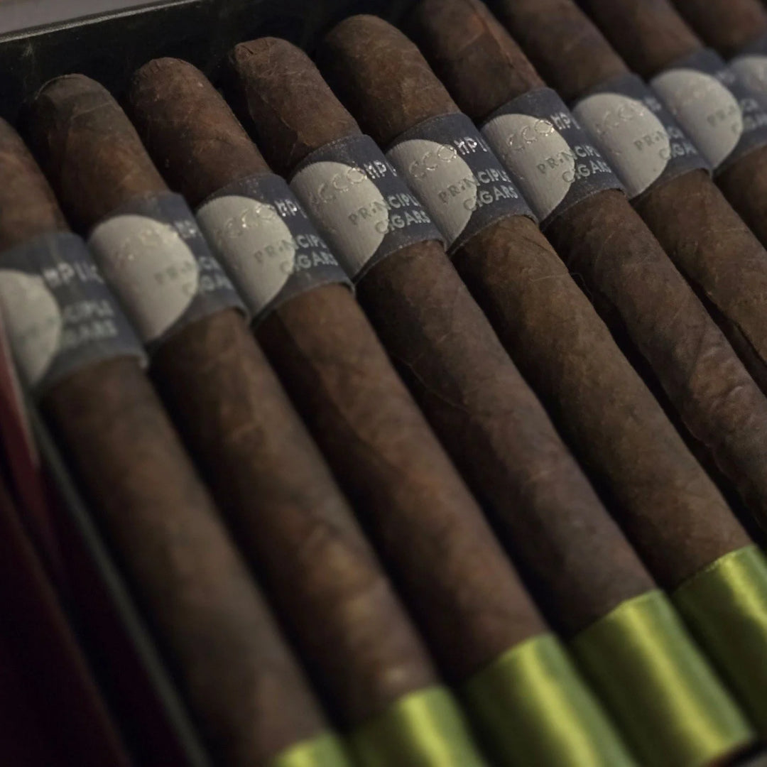 Principle Cigars Accomplice Maduro Toro
