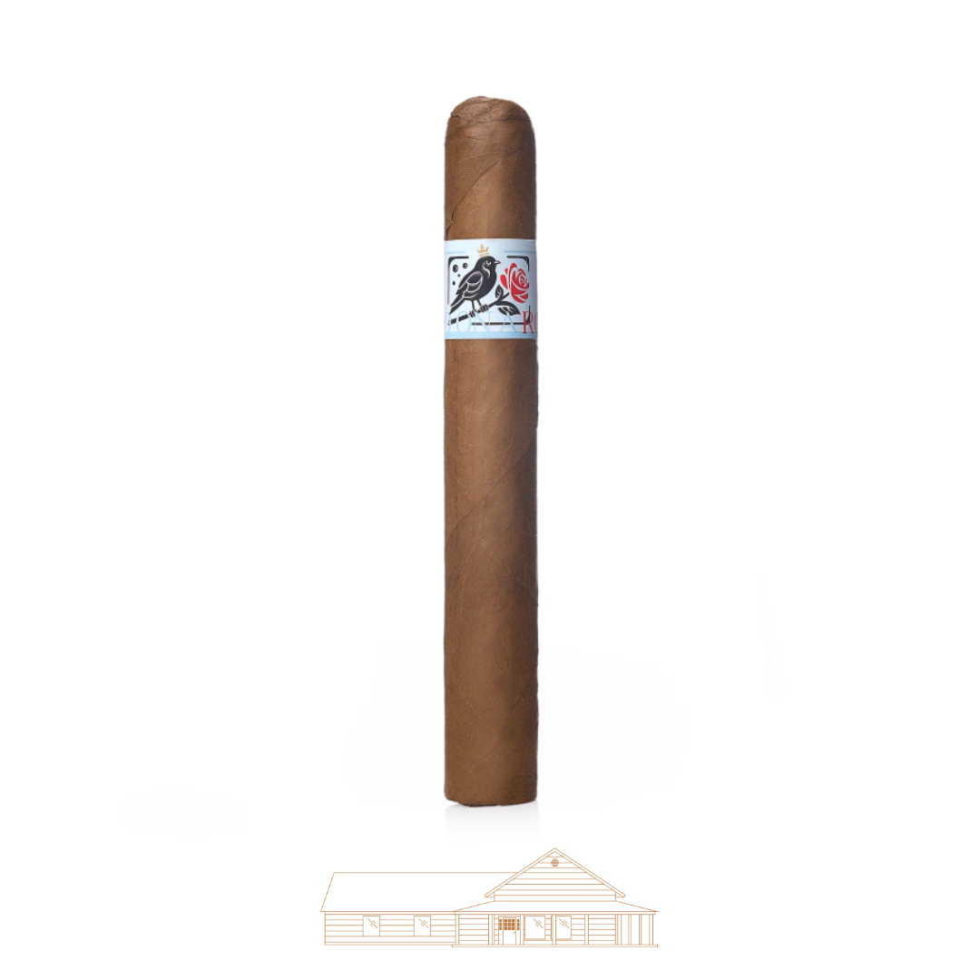 Warped Cigars - Bird On A Rose
