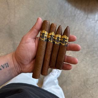 Warped Cocodrilo Sampler