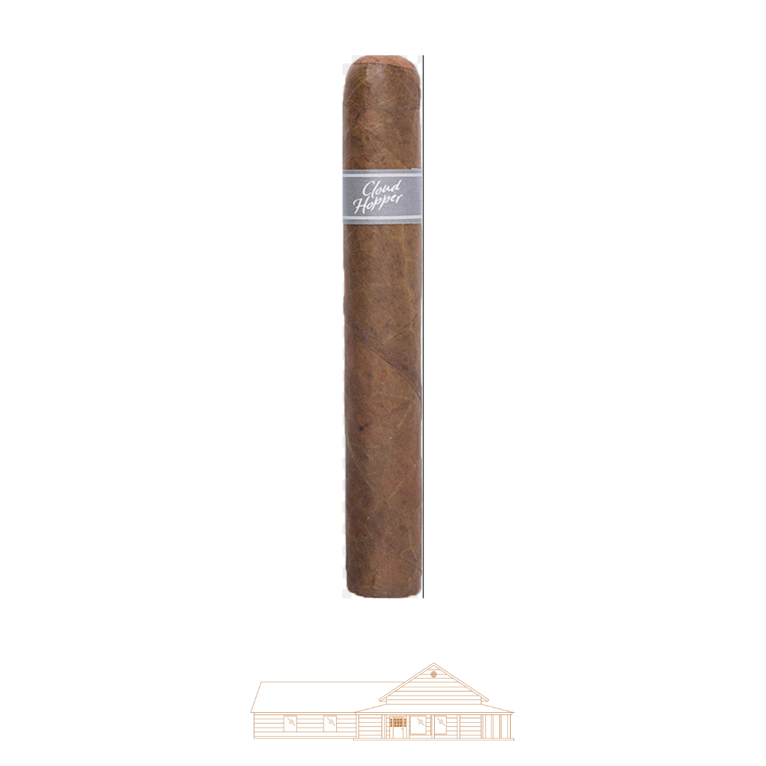 Warped Cloud Hopper 485