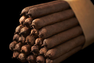 Close-up of a bundle of cigars with a dark background