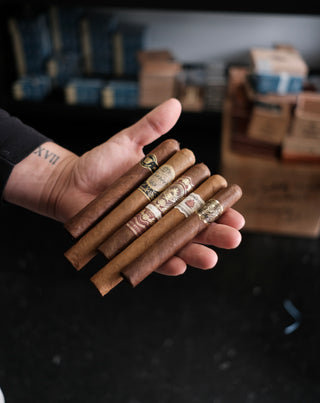Conner's Beginner Cigar Sampler