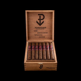 An open wooden cigar box on a black background, containing eight cigars with red and black bands. The inside lid is engraved with the brand name 'POWSTANIE' and a large anchor logo.