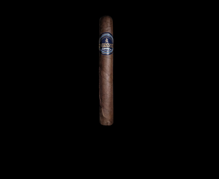 Surpassion Valor Toro