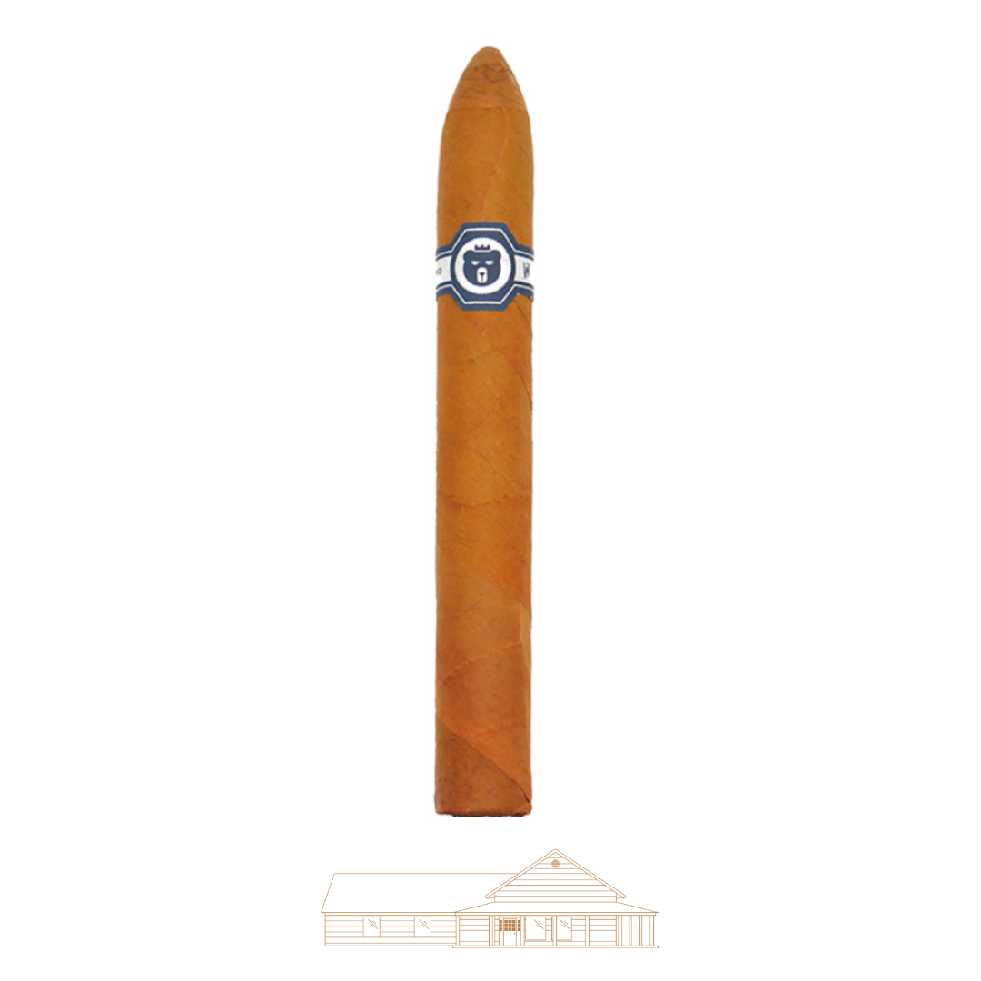Warped El Oso Papa Connecticut