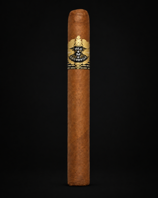 Cigar on black background 