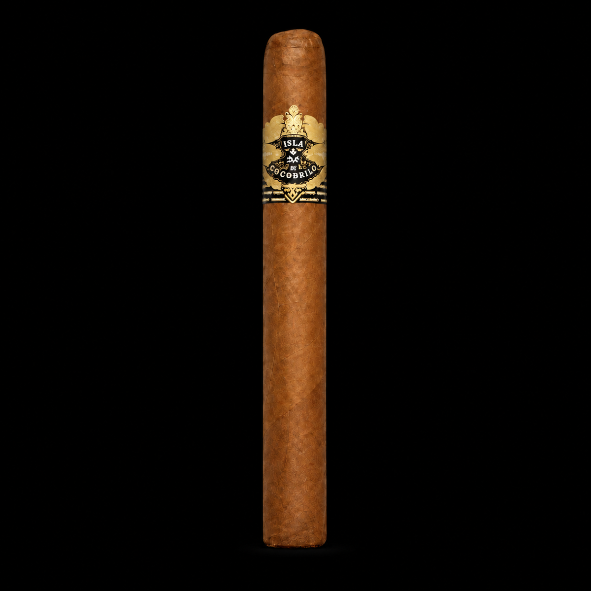 Warped Isla Del Cocodrilo Robusto