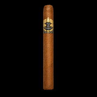 Warped Isla Del Cocodrilo Robusto