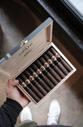 Warped x Creekside Corto Maduro C50