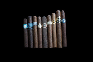 Warped Cigars Sampler