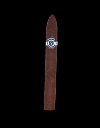 Warped El Oso Papa